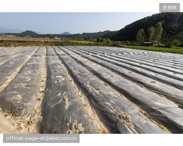 西安奥体中心地面项目为行业带来信心:国产高分子纤维在大型场馆超平地面施工中的综合成本优势已显现 西安奥体中心地面项目为行业带来信心:国产高分子纤维在大型场馆超平地面施工中的综合成本优势已显现